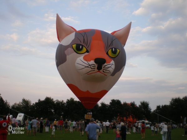Ballonfahrt Barnstorf 2009